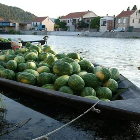 Delta Гостевой дом Opuzen (Dubrovnik-Neretva)